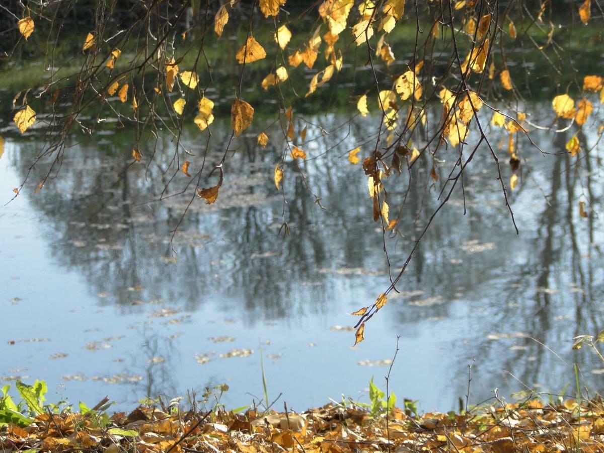 Вилла Stajnia Lisewo Экстерьер фото