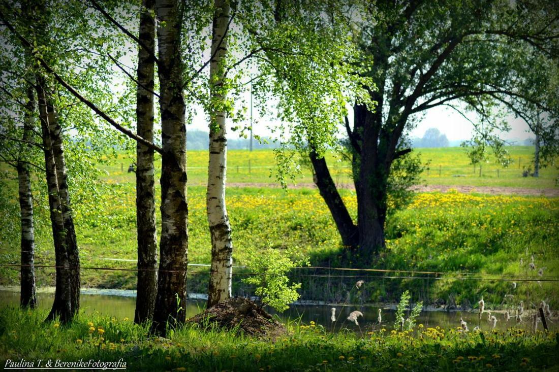 Вилла Stajnia Lisewo Экстерьер фото