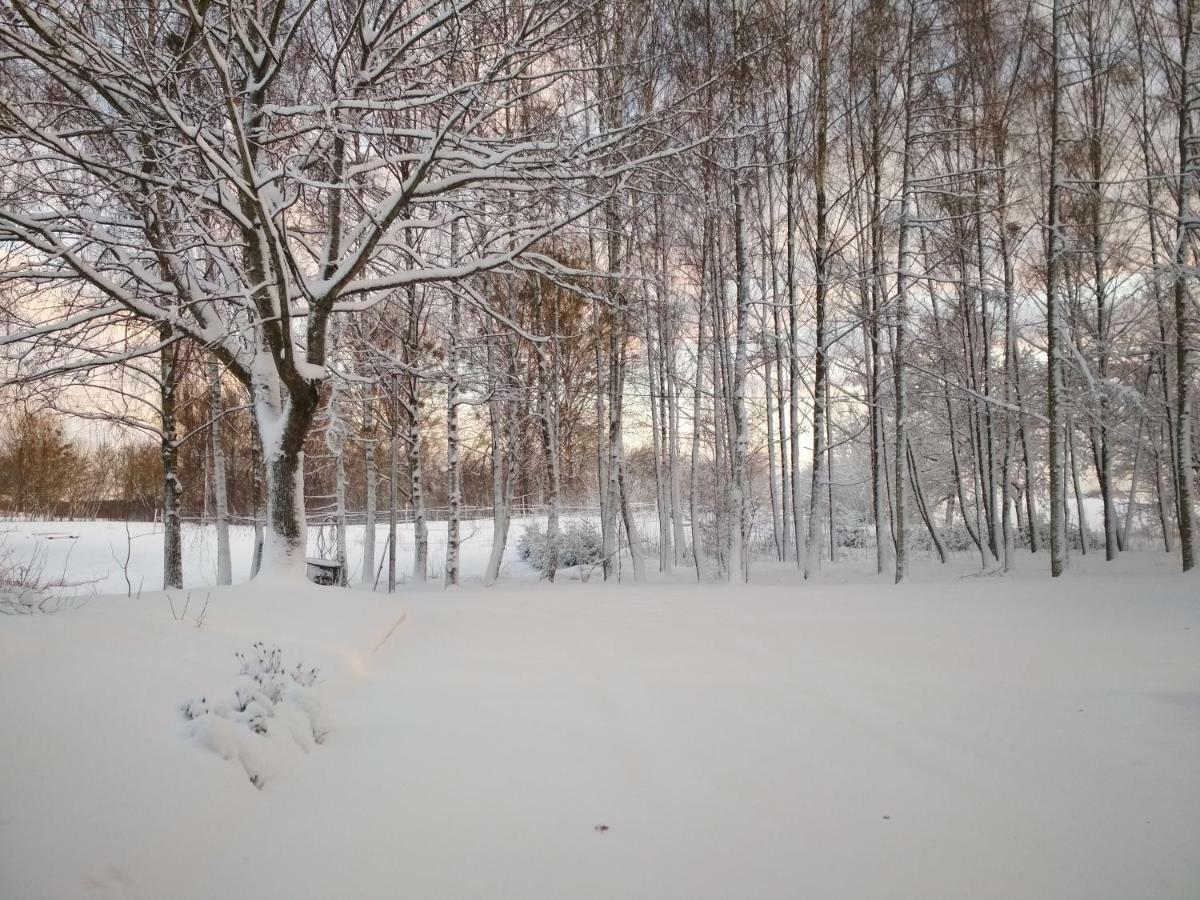 Вилла Stajnia Lisewo Экстерьер фото